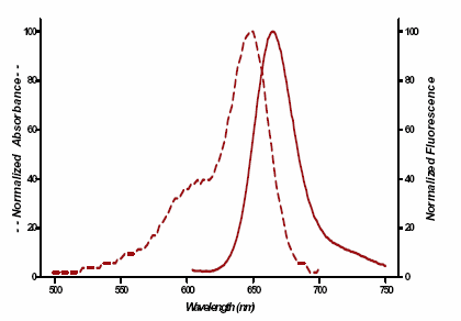 SEEBRIGHT™ Red 650 dUTP image