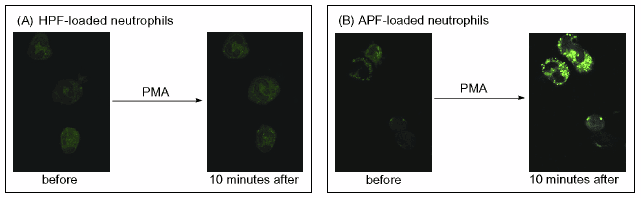 APF image