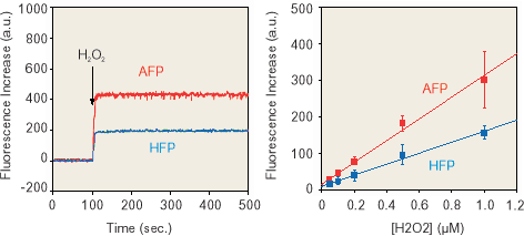 APF image