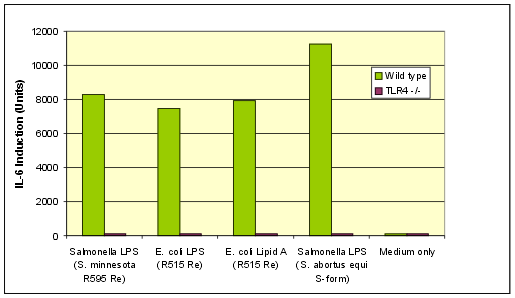 Lipid A from E. coli, Serotype R515 (Re) (TLRGRADE) (Ready-to-Use) image
