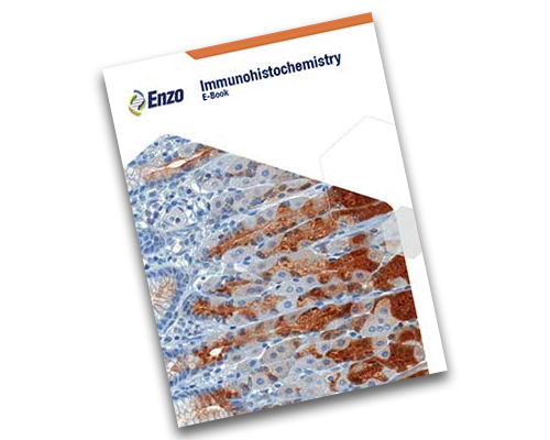 Download our Immunohistochemistry IHC Ebook