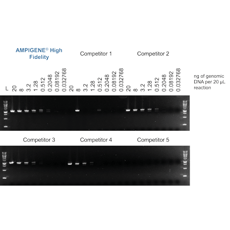 AMPIGENE High Fidelity Polymerase performance