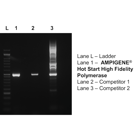 AMPIGENE Hot Start High Fidelity Polymerase performance GC-rich templates