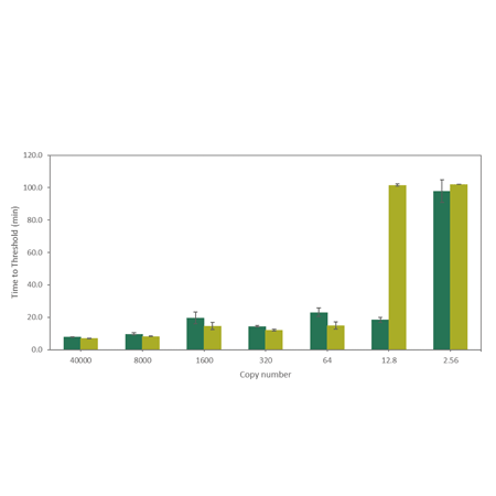 AMPIGENE Bst Polymerase amplification