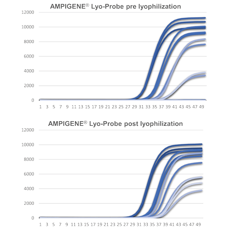 AMPIGENE Lyo-Probe performance