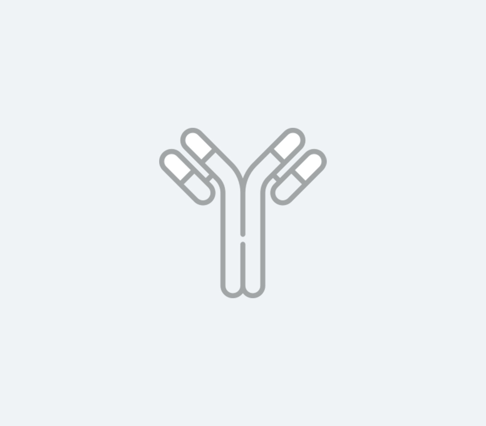 Melanoma marker (human) monoclonal antibody (HMB45) (ReadytoUse) Enzo