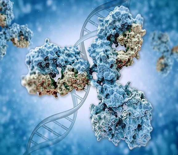 Recombinant Antibodies are Animal-Free, Highly Reproducible and Reliable