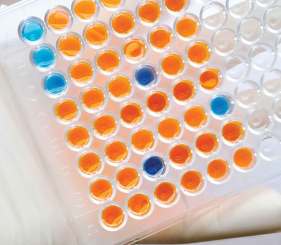 ELISA Assay Plate