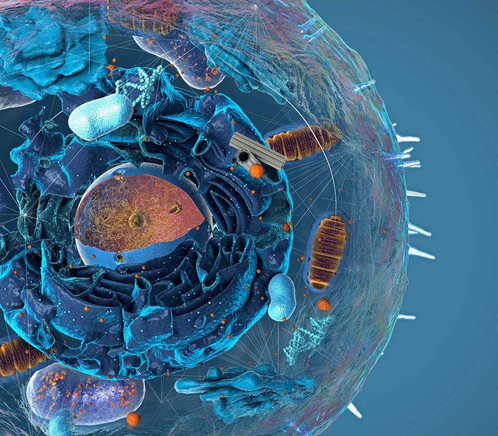 Spatial Biology - Cellular Detection