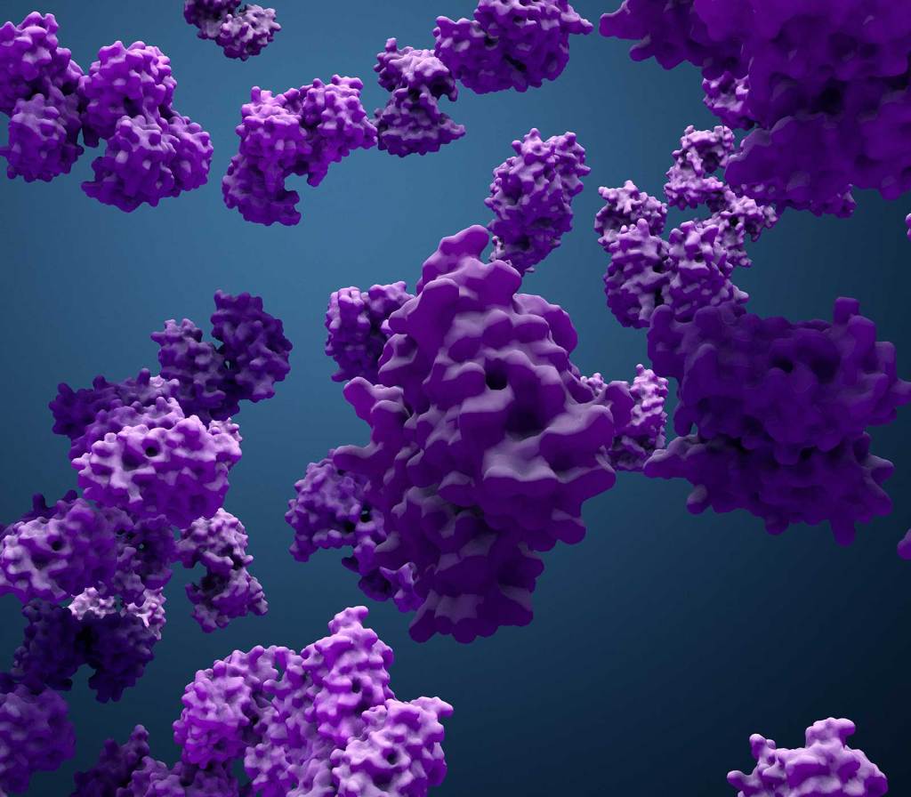 Spatial Biology - Protein Detection