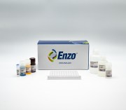 Protein A ELISA kit