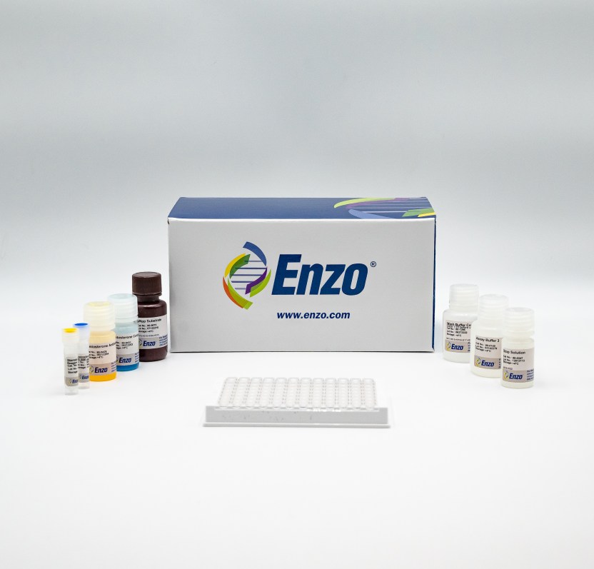 Testosterone ELISA kit