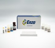 Cortisol ELISA kit