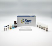 cGMP ELISA kit