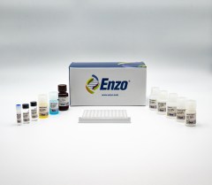cGMP ELISA kit
