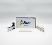 Serotonin ELISA kit
