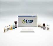 Vitamin D ELISA kit