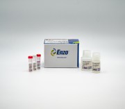Mitochondria Membrane Potential Detection Kit