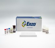 CHO host cell protein ELISA kit