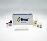 HEK293T host cell protein ELISA kit