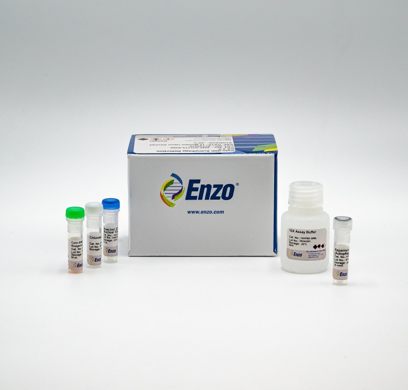 CYTO-ID® Autophagy detection kit 2.0