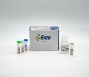 CYTO-ID® Autophagy detection kit 2.0