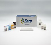 IL-6 ELISA kit
